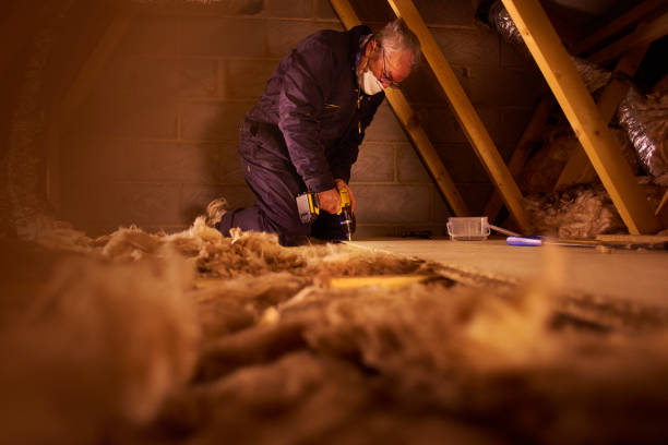 Best Types of Insulation in USA